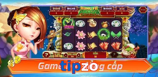 tipzo