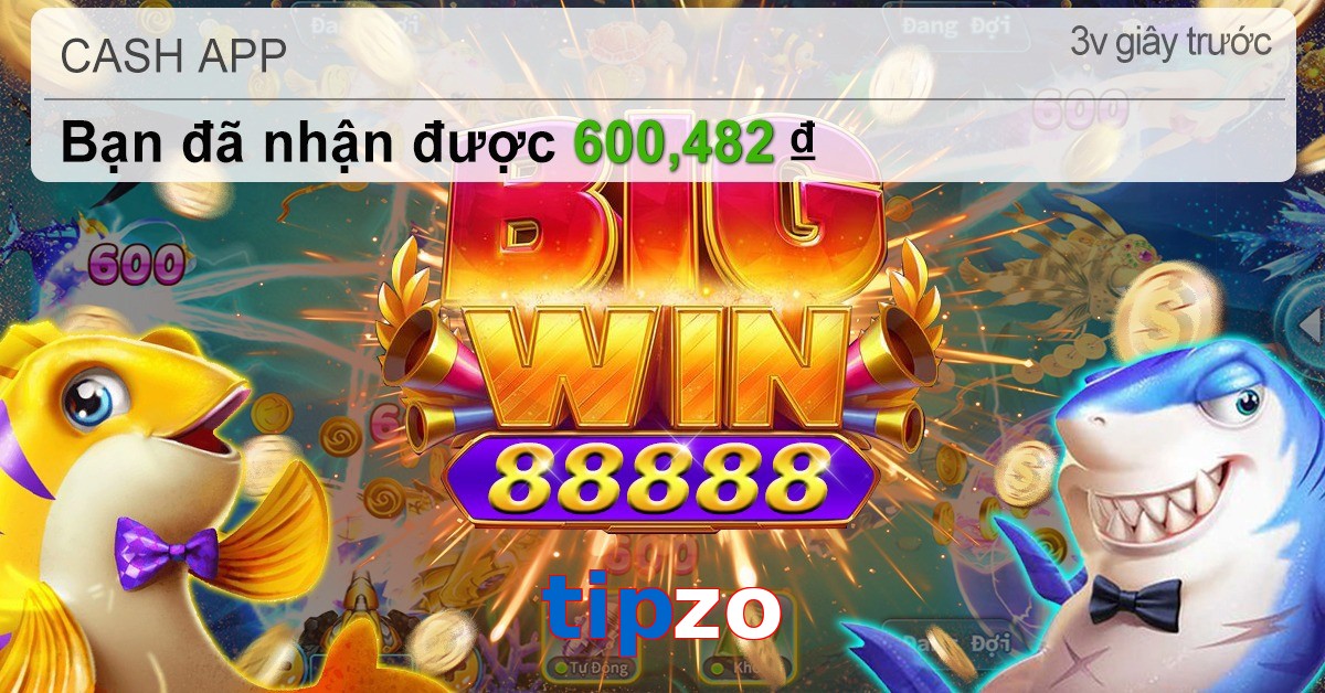 tipzo